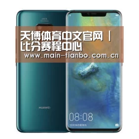 华为无线快充手机
