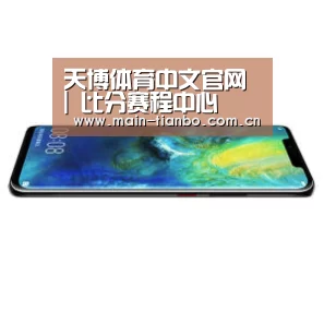 华为无线快充手机