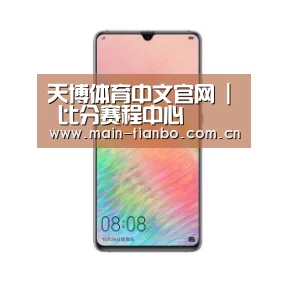 华为HUAWEI NOTE 8