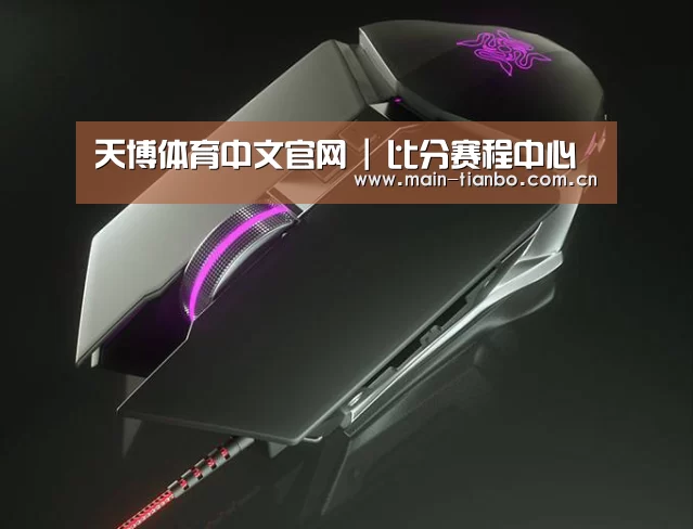 鼠标封面设计