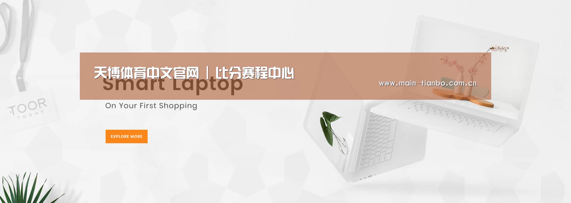 某某网络科技有限公司
