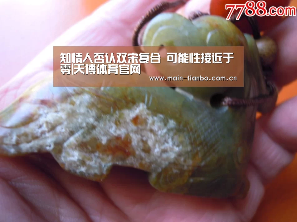 知情人否认双宋复合 可能性接近于零|天博体育官网