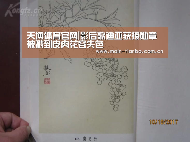 天博体育官网