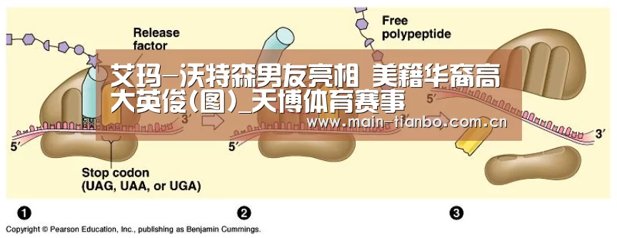 艾玛-沃特森男友亮相 美籍华裔高大英俊(图)_天博体育赛事(图3) 天博体育入口
